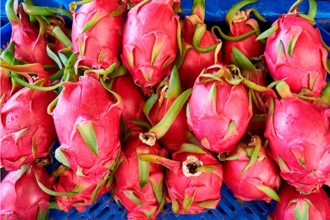 Kika1 dragon fruit variety launched in Kenya