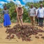 Government Moves to Expand Kenya Bixa Production as Plan Targets 3,000-Tonne Processing Capacity