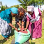 KALRO and CIAT Link Nakuru Women Farmers to Markets as Waithera Beans Drive Commercial Bean Farming