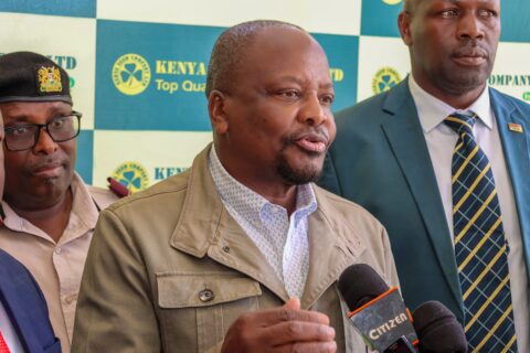 Kenya Food Security