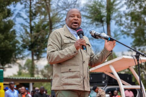 Kenya Tea Factory Modernisation