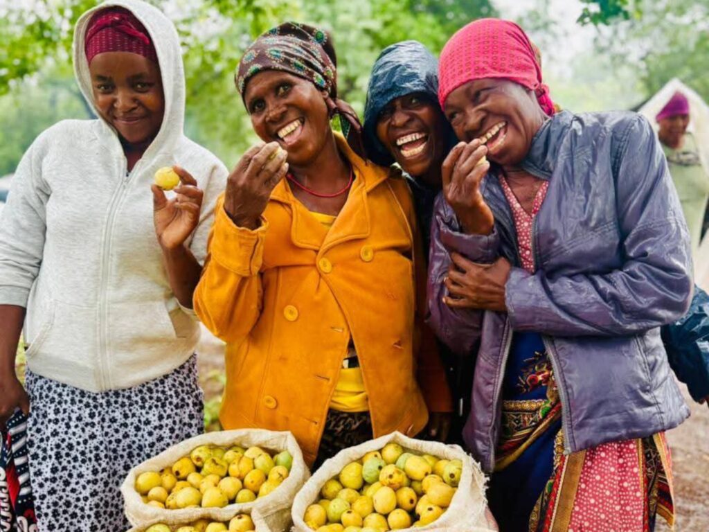 Marula Farming in Kenya