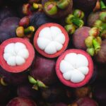 Healthy Mangosteen seedlings results to a healthy harvest