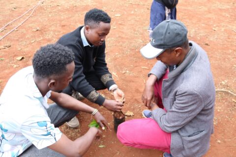 Agricultural Extension Services in Nyeri Strengthened Through Agripreneur Training