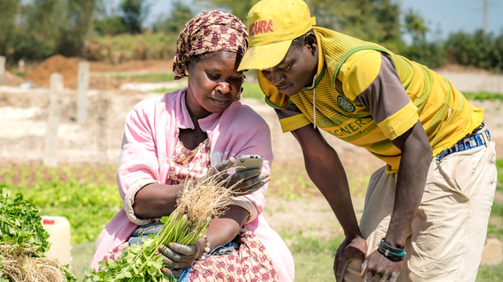 Why Smallholder Farmers in East Africa Default on Loans Because of Timing and Not Disease 2 Farmers Default on Loan