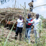 From Fisherman to Cane King: How a Siaya Farmer Built a 480-Acre Sugarcane Empire