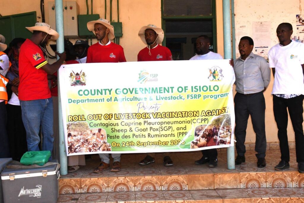 Isiolo Livestock Vaccination Drive Targets CCPP, Sheep and Goat Pox and PPR