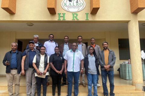 KALRO Horticulture Research Institute and ICRAF Partner to Take Farm Technologies to Growers