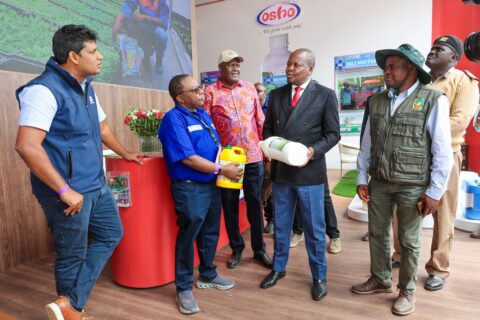 Kenya Horticultural Sector Targets More Investment, Jobs and Global Markets