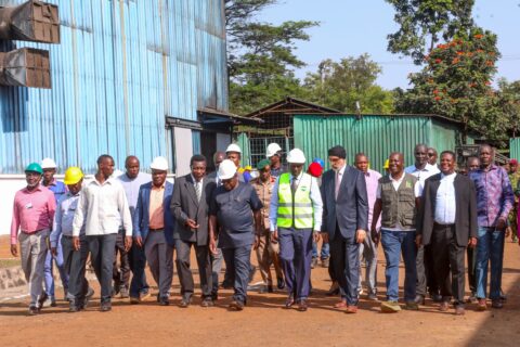 Kenya Sugar Revival Struggles to Reach Farmers After Seven Years of Promise