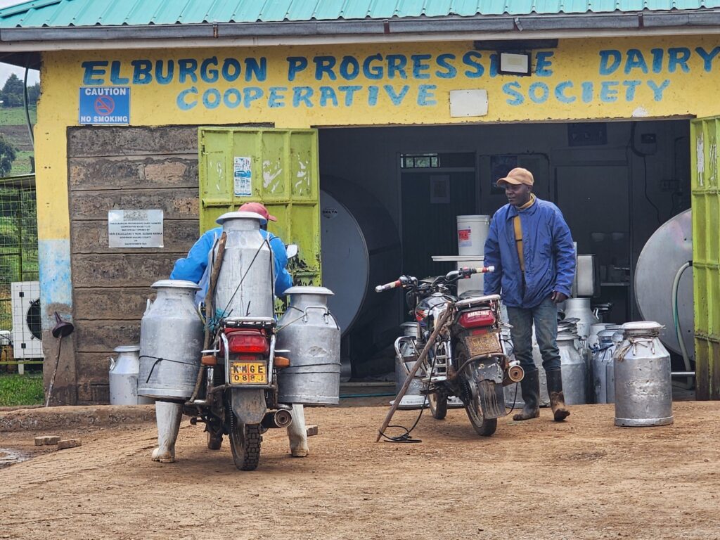 Kenya's Milk Shortage May Last Beyond Rains as Farmers Struggle with Expensive Feed