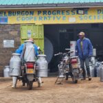 Kenya's Milk Shortage May Last Beyond Rains as Farmers Struggle with Expensive Feed