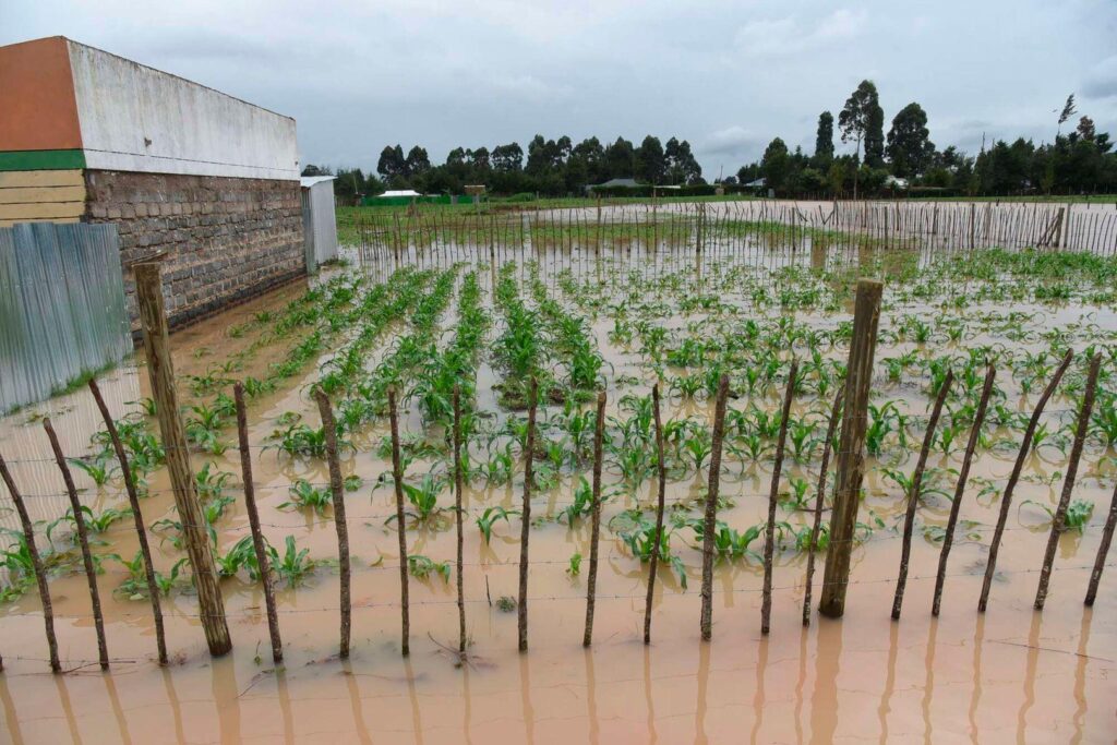El Niño preparedness Kenya 2026 to avoid loss
