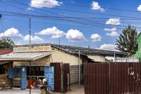 Mogotio Dairy Cooperative Installs Solar to Cut Energy Costs and Protect Production