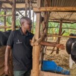 Site Inspection and Feasibility Studies: A Must Before You Start Livestock Farming