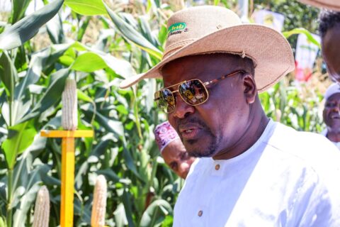 State Targets Five Coast Counties to Triple Agricultural Production, Unlock Billions in Farming Opportunities