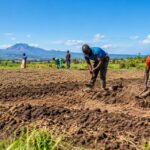 El Niño rains 2026 Kenya guide