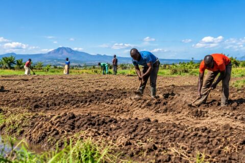El Niño rains 2026 Kenya guide