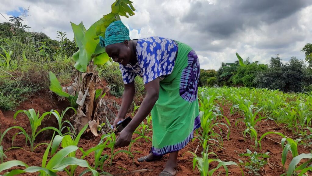 Why Commercial Agriculture in Africa Must Move Beyond Survival Farming