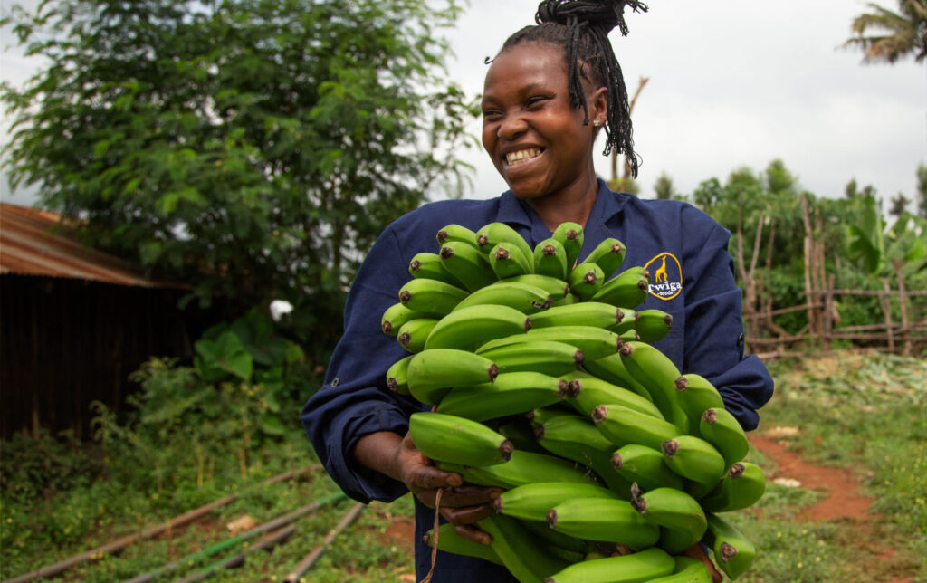 Why Smallholder Farmers in East Africa Default on Loans Because of Timing and Not Disease 1 Why Smallholder Farmers in East Africa Default on Loans Because of Timing and Not Disease
