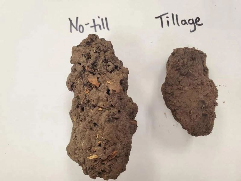 Zero-Tilled Soils: How to Improve Structure, Water Infiltration, and Carbon Sequestration on Your Farm 1 zero-tilled soils