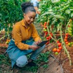 AI in Agriculture in Kenya Raises Questions About Who Benefits as Technology Reaches Smallholder Farmers