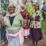 Avocado Farming in Nakuru Grows as County Invests Sh110 Million to Support Farmers