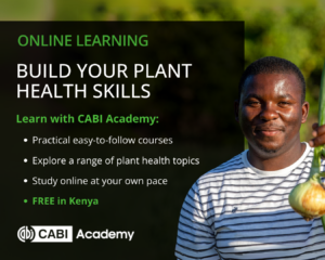 cabi
