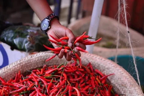 China Market Opens for Kenyan Dried Chillies With Strict Rules on Safety, Processing and Certification