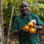 Cocoa Farming in Kenya