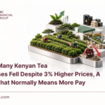 EBC - Why Many Kenyan Tea Bonuses Fell Despite 3% Higher Prices, A Rise That Normally Means More Pay