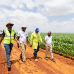 Farmers Trend Ltd.