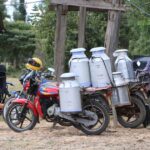 Milk prices in Kenya