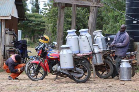 Milk prices in Kenya