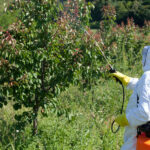 Highly Hazardous Pesticides in Africa Face Phase-Out Debate Ahead of Global Chemicals Conference