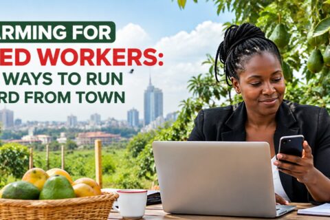 Fruit farming for salaried workers