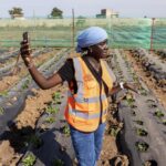 Why Farming in Kenya Feels Like Gambling Even When Farmers Do Everything Right