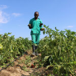Why Good Agronomists Fail as Farm Managers When They Cannot Control Costs and Lead Teams