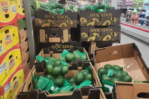 Why Kenyan Avocado Farmers Earn So Little From Fruit Sold at High Prices Abroad