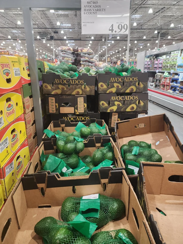 Why Kenyan Avocado Farmers Earn So Little From Fruit Sold at High Prices Abroad