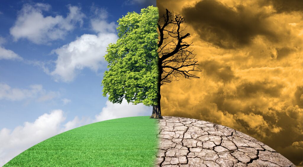 kenya’s Agriculture Faces a Last-Mile Gap as Climate Risks, Finance and Farm Technology Shift